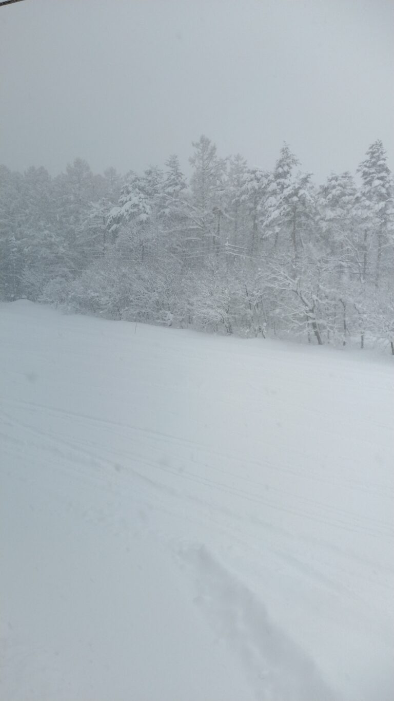【スノーリゾート　ロマンスの神様(木島平スキー場)】これぞ北信！大雪の中、パウダースノーを満喫