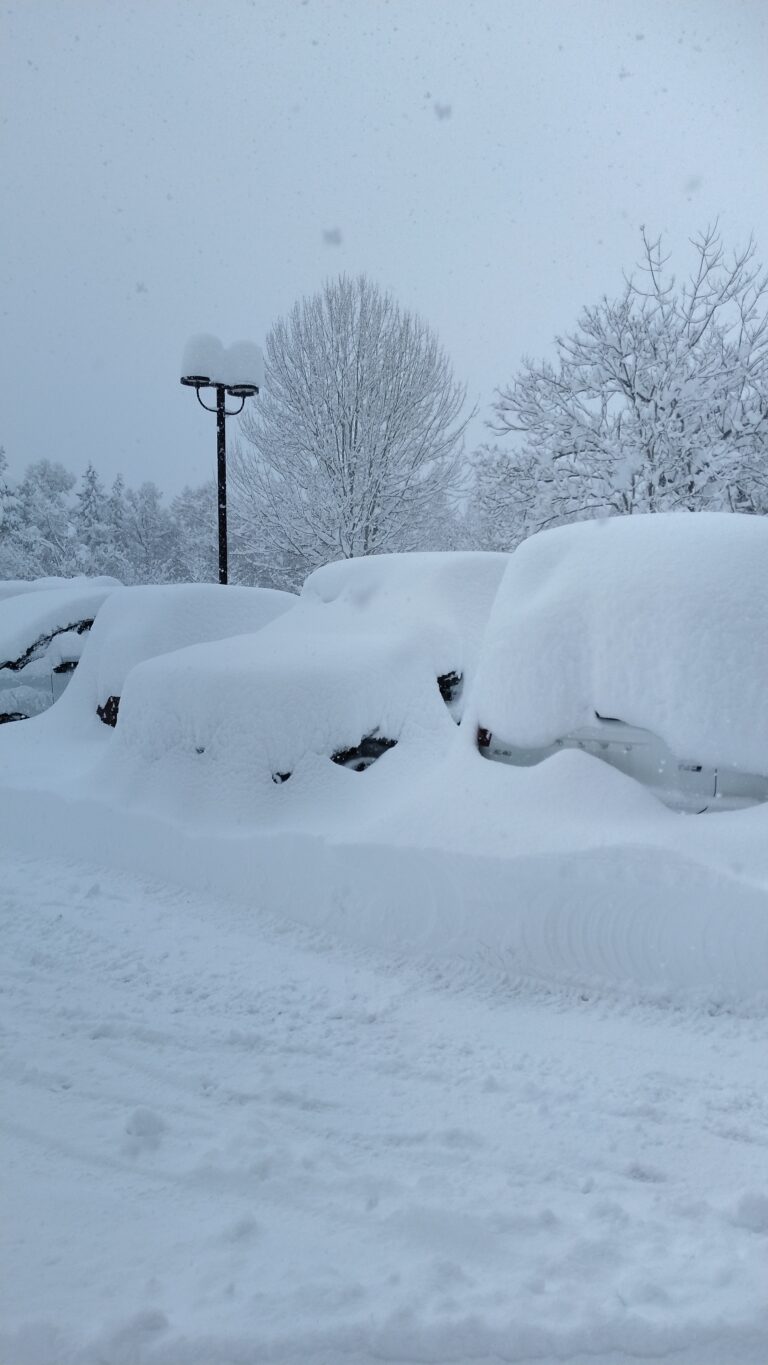 【2025年2月9日】記録的大雪の木島平で朝イチセッション！昼前撤退の賢明な判断