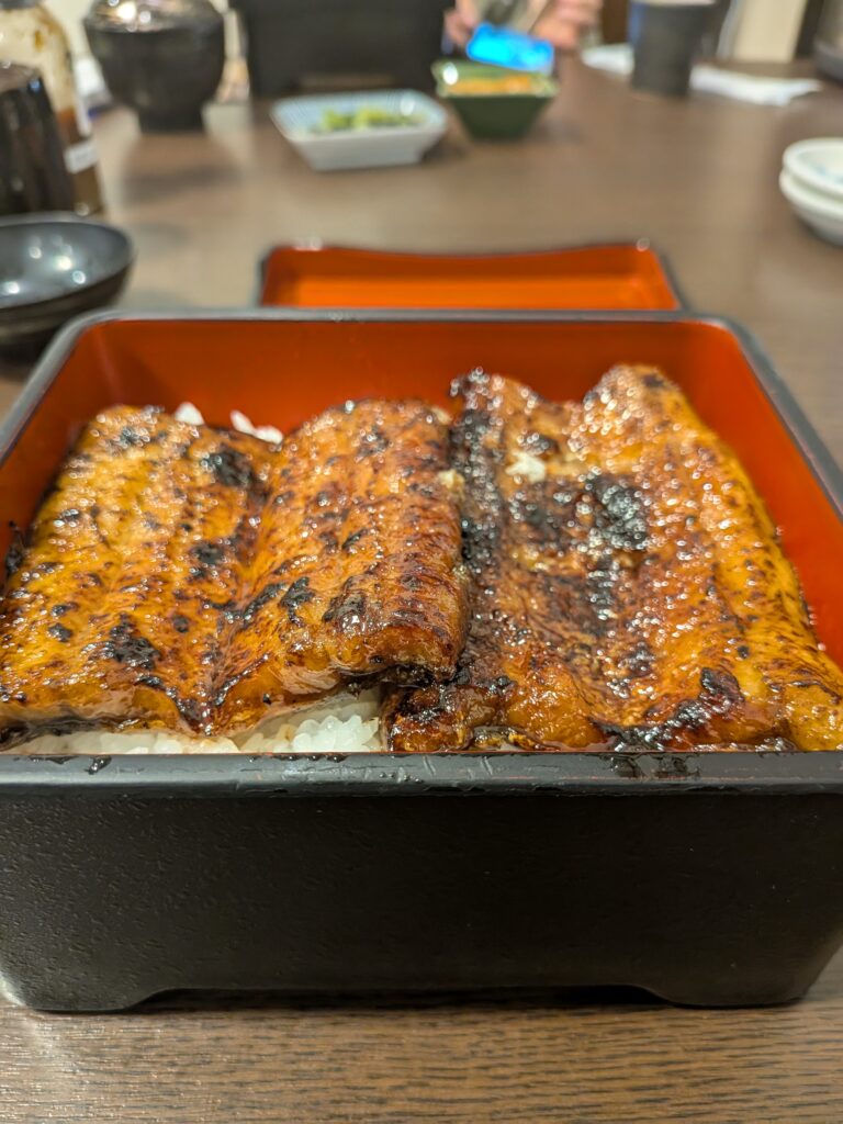炭火でじっくり焼き上げる絶品うなぎ！松本「やなのうなぎ 観光壮」で至福のひととき