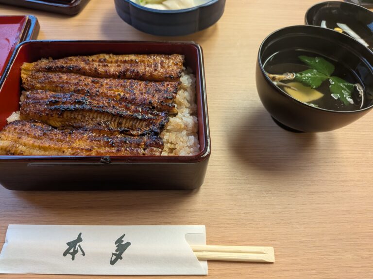 Full unagi-ju (eel rice bowl) showing the complete presentation