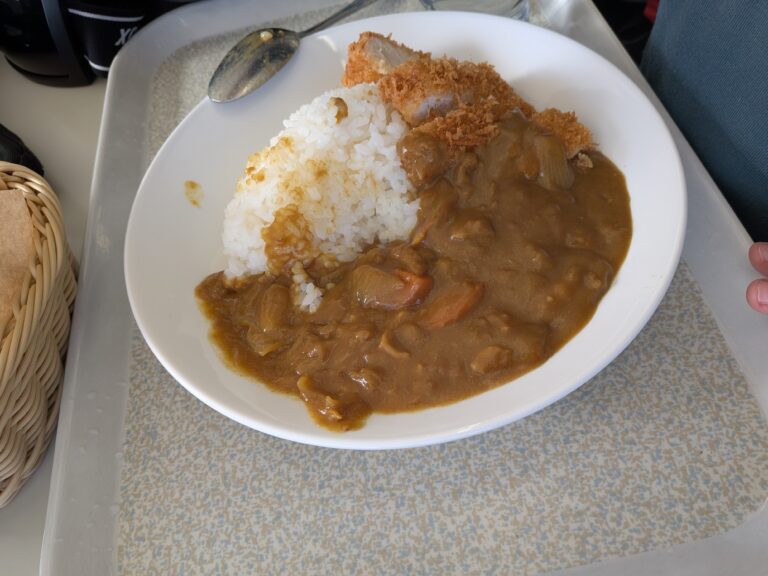 Uenodaira Lodge katsu curry