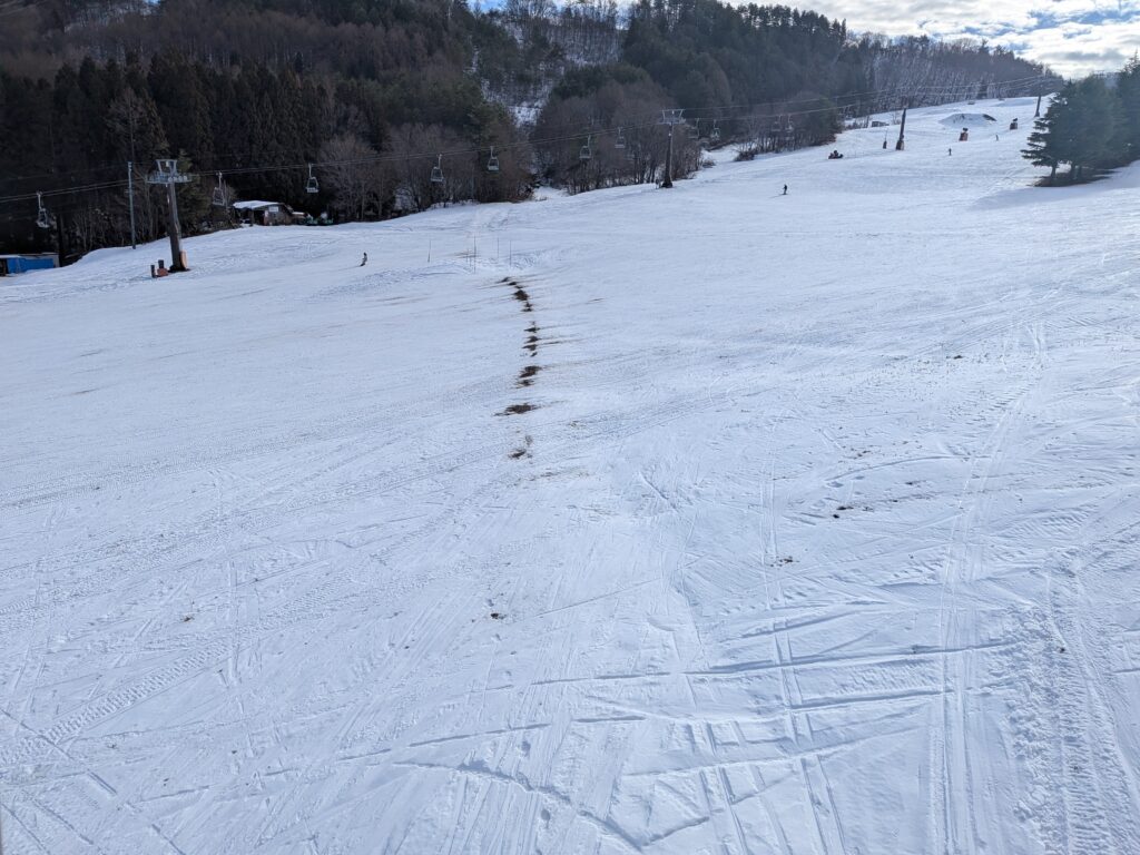 土が見えているコース