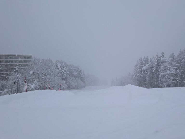 Skier on fresh powder snow at Kijimadaira