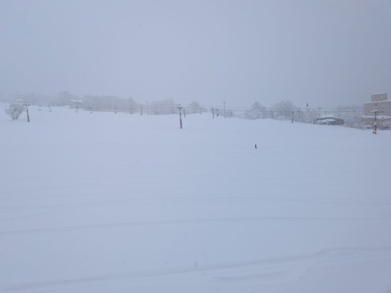 Fresh powder canvas on Kijimadaira slopes