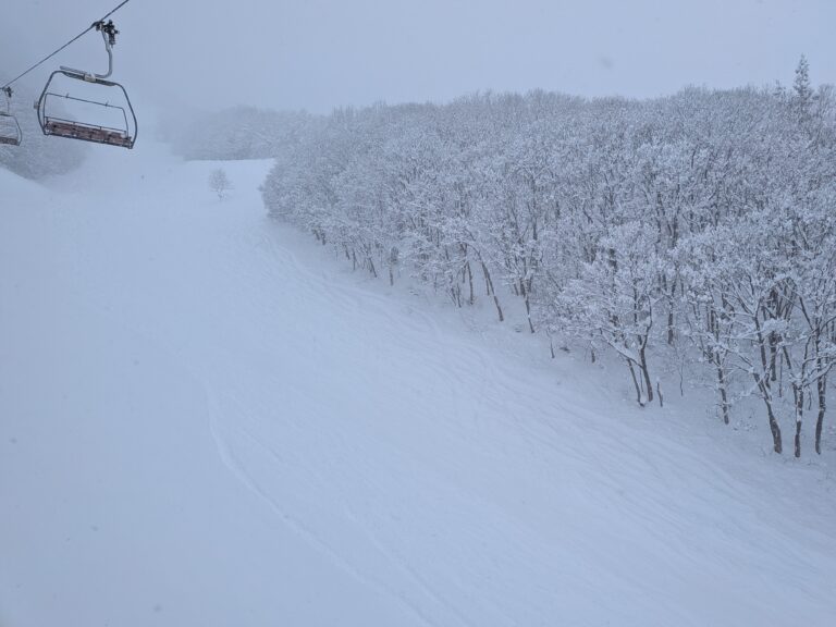🏂大雪パウダー天国！木島平スキー場で70cm超の積雪を満喫【2026年1月24-25日】