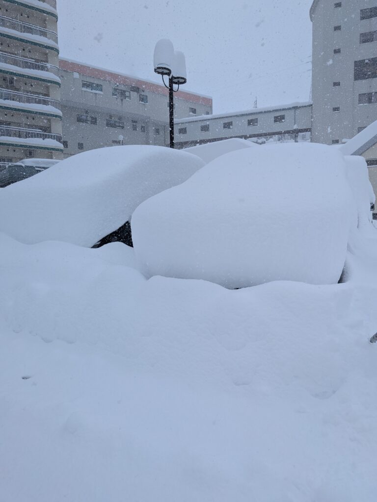 雪に埋もれた車