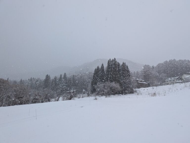 Snow falling at Kijimadaira Ski Resort (Day 2)