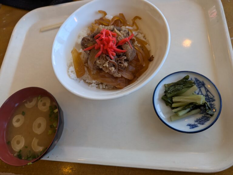 Gyudon at Bistro Harajuku