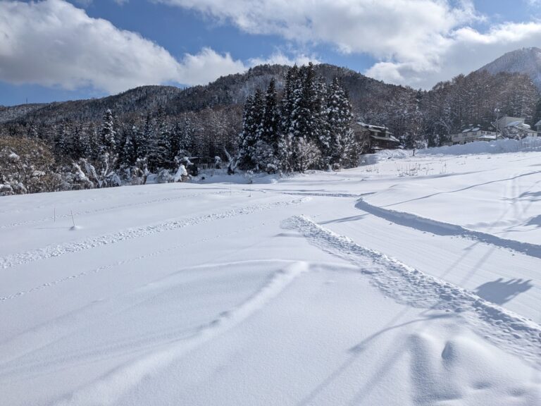 Kijimadaira Ski Resort sunny slopes (January 31, 2026)