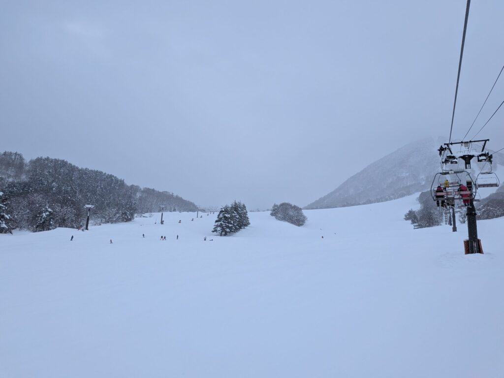 木島平スキー場 圧雪バーンとツリーラン（2026年2月1日）
