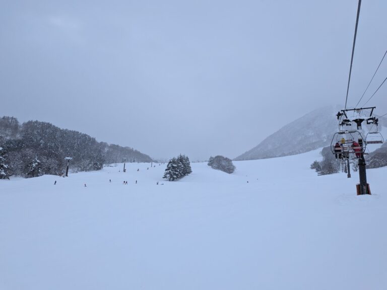 Kijimadaira Ski Resort groomed slopes (February 1, 2026)
