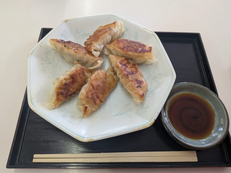 Crispy gyoza at Hotel Reijant Restaurant Augusta