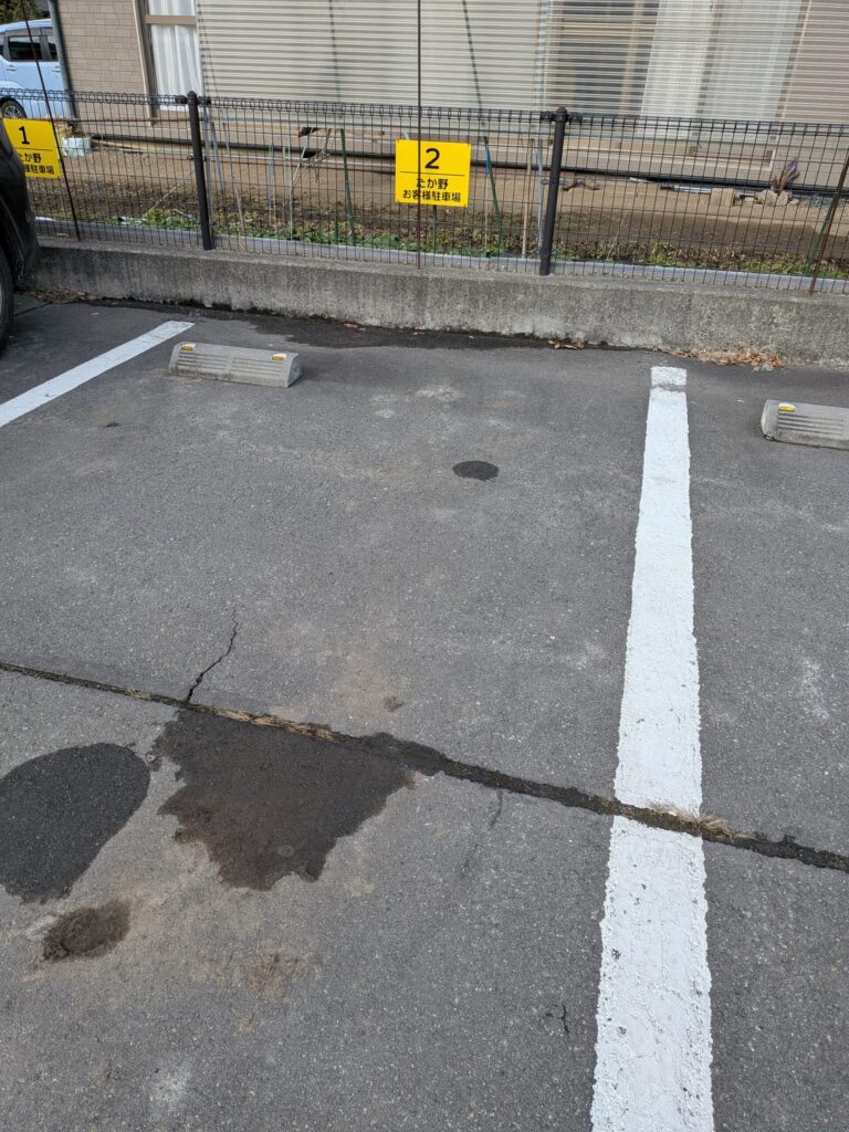 小布施中華蕎麦 たか野 駐車場（2026年2月1日）